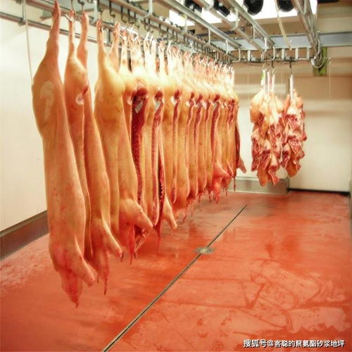 為何僅存儲鮮肉的食品廠冷庫對聚氨酯砂漿地坪存在深度依賴？——必須嚴守的機理選擇與技術突破口